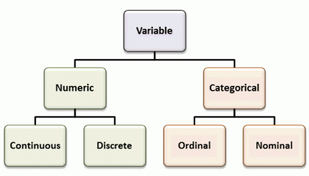 different-types-of-varibales