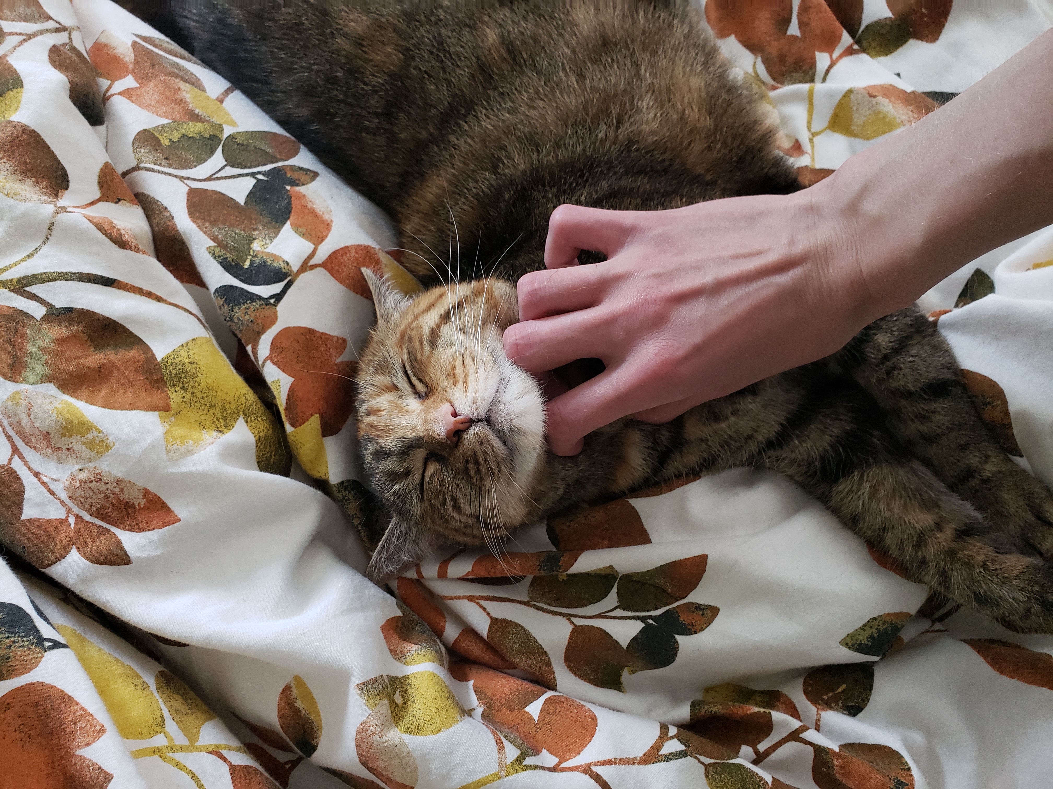 Mia