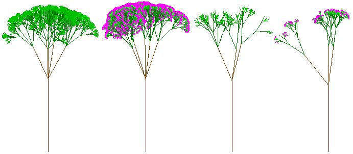 Three-dimensional Stochastic Tree