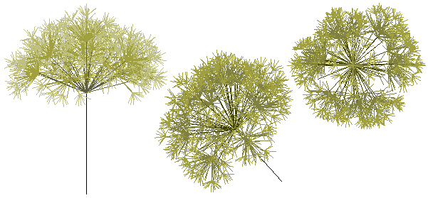 Randomic tree