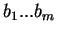 $b_{1}...b_{m}$