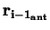 $\mathbf{r_{{i-1}_{ant}}}$