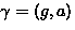 $\gamma = (g,a)$