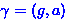 $\gamma = (g,a)$