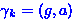 $\gamma_{k} = (g,a)$